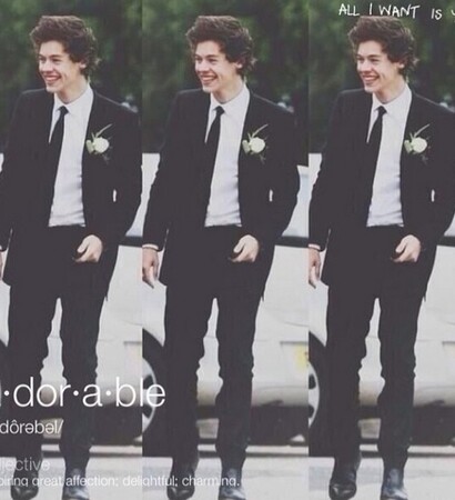 definition, flawless and harry