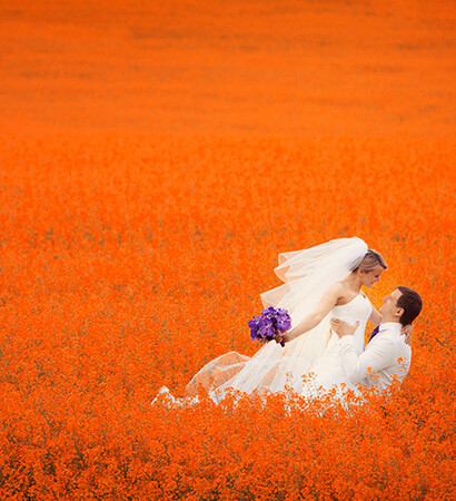 couple, poppies and red