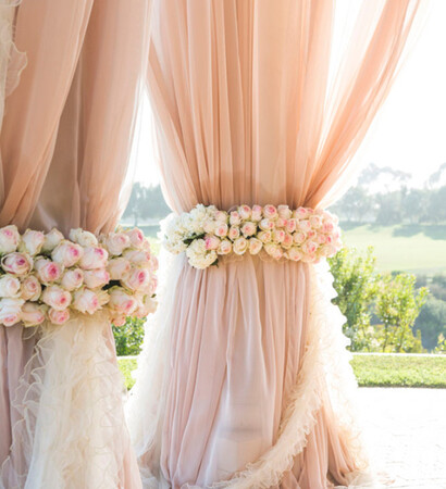 flower, rose and outdoor