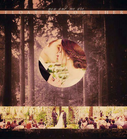 the twilight saga, honeymoon and inmortal