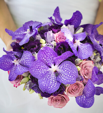 beautiful, purple and flowers