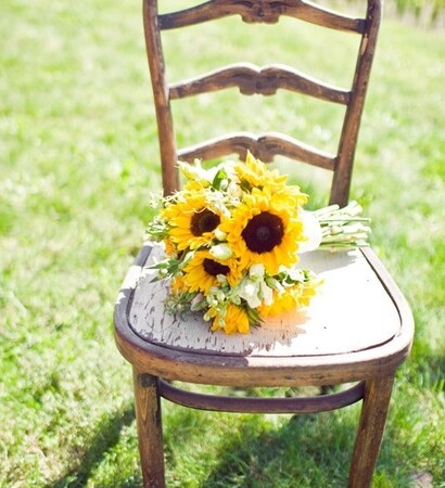 old, new and sunflower