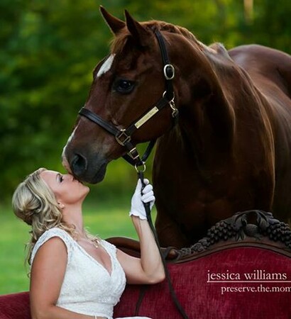 equestrian, horse and quarter horse