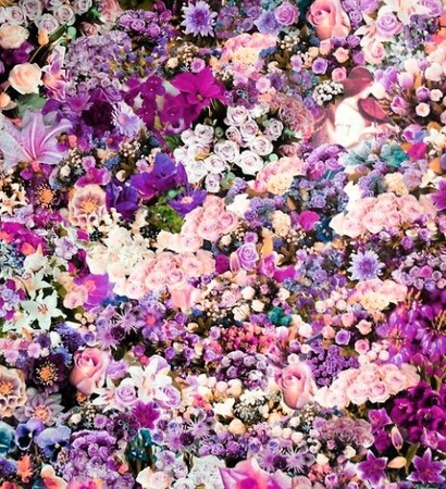 lilac, rainbow and bright