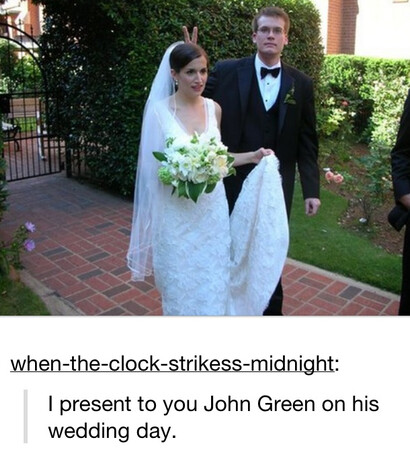 lovebirds, cute and adorable