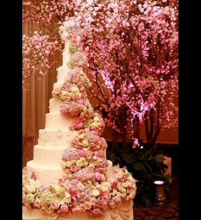 pink, roses and beautiful