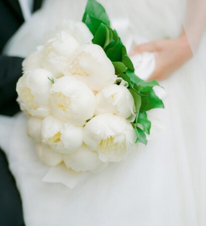 white, peonies and annalelynne114mabao