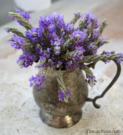 random, nature and purple