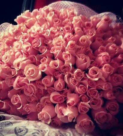 I Love You, roses and valentinsday