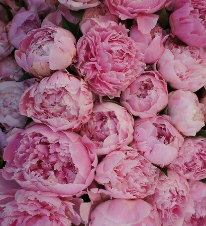 luxury, nice and flowers