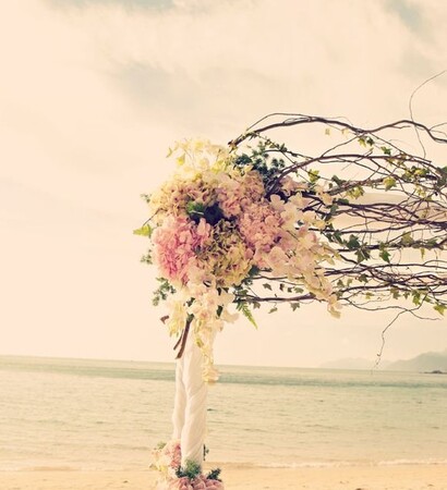 photography, flowers and pink