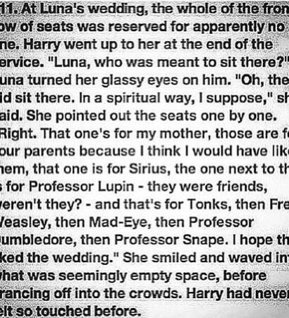potterhead, harry potter and they didin't die in vain