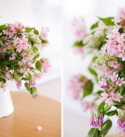 summer, spring and springtime