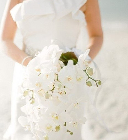 bride, cute and orchids