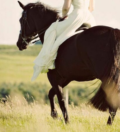 add more tags, girl and field