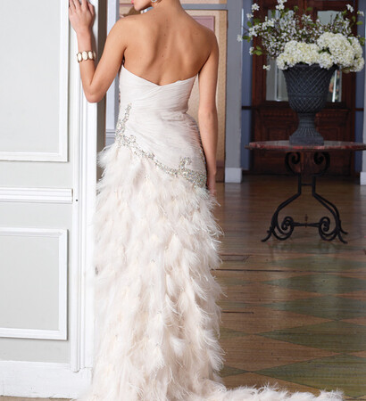 eveningdress, feahther and dress