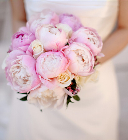 pink, rozes and fairytale