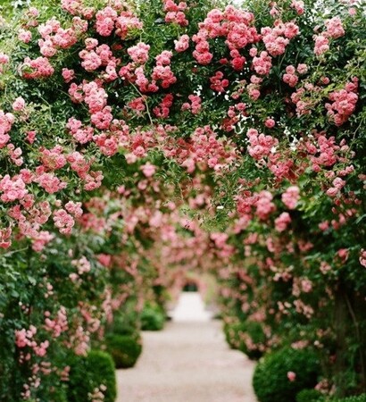 green, scenic and flowers