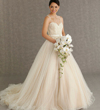 decorations, brides and veluz bride