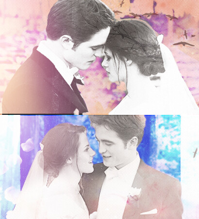 edward cullen, tumblr and bella swan