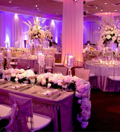 purple and en