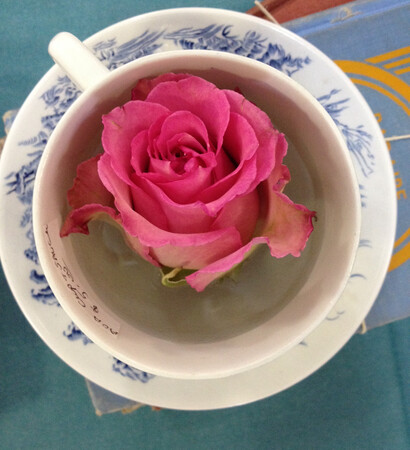 flowers, pretty and beautiful