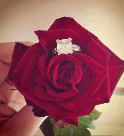 rose, love and red