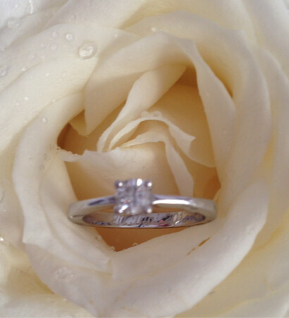 verlobung, rose and flowers