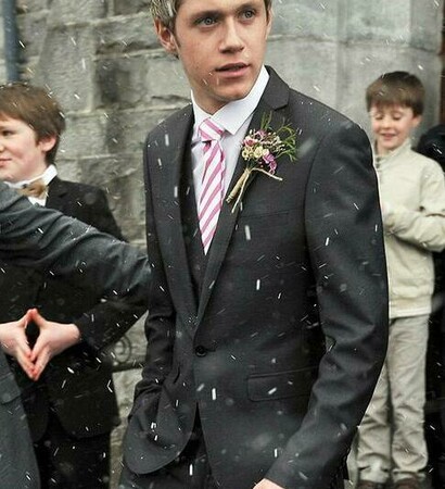 one direction, niall horan and perfect