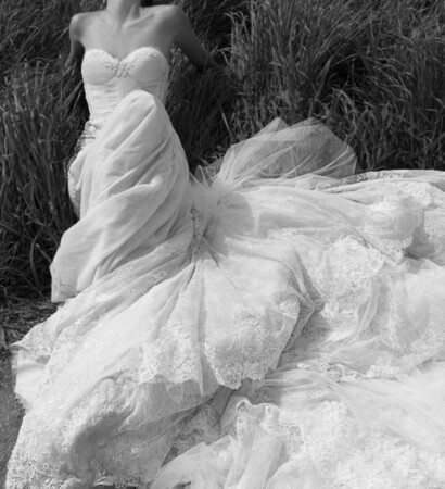 wedding dress stunning and extra