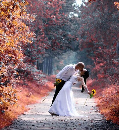 wedding dress, shooting and mariage