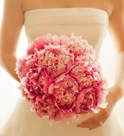 peoni, bouquet and bride