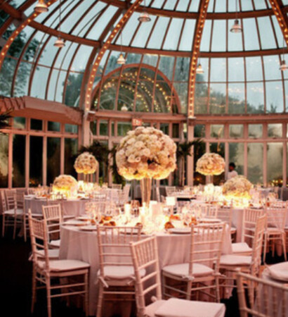 party, venue and neutral