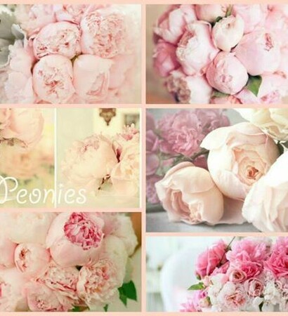 peonies, vintage and pastel