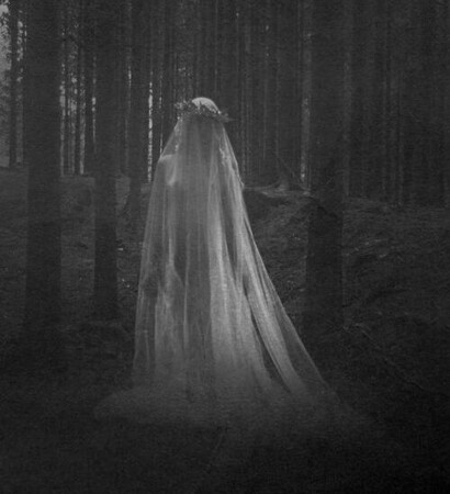girl in a wedding dress, dark and woods