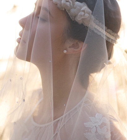 wedding veil, bride and wedding dress