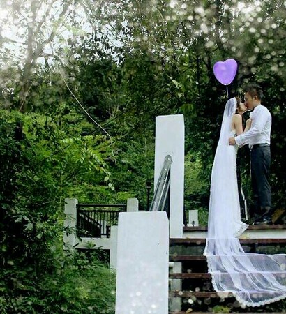 forest, pre wedding and green