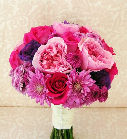 pink, Hot and rose