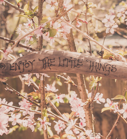 tree, pretty and love