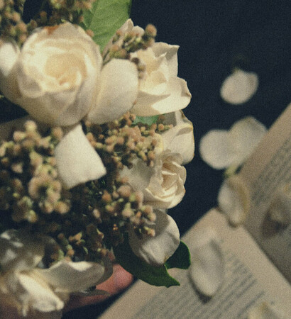 photograpy, vintage and book