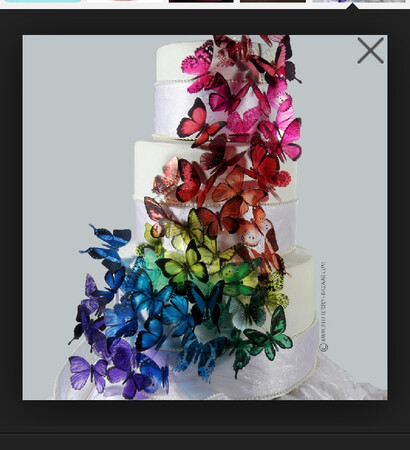 butterflies, rainbow and cake