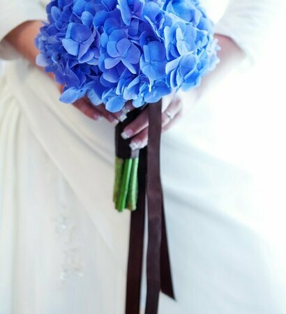 flowers, blue flowers and blue