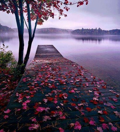 lake, romance and bridge