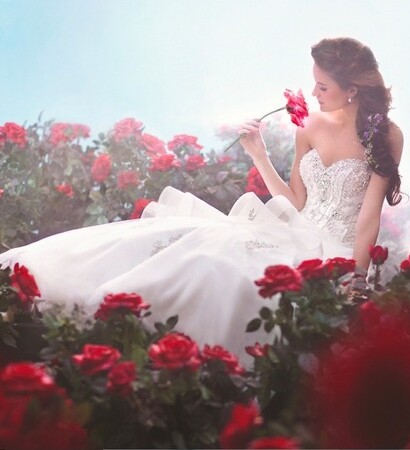 luxury, red flowers and moda