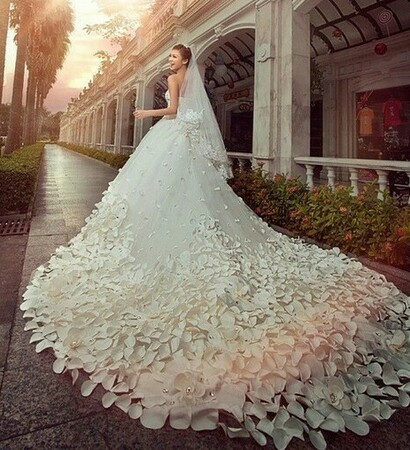 dress, gown and long trail