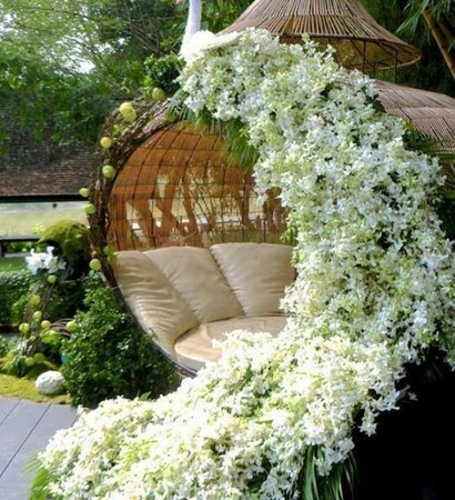 beautiful honeymoon place, romantic wedding and bed
