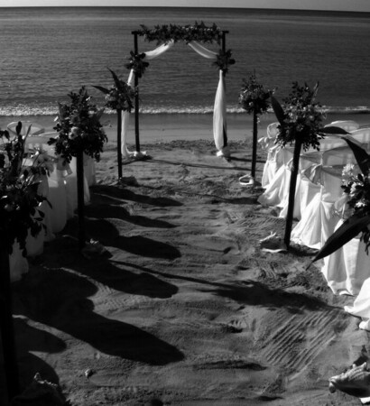 black and white, beautiful and outside