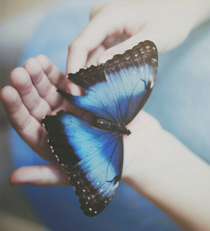 jamie mcguire, beautiful disaster and butterfly
