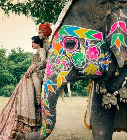 dress, elephant. love and india