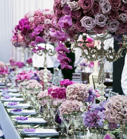 ambience, dining and orchid
